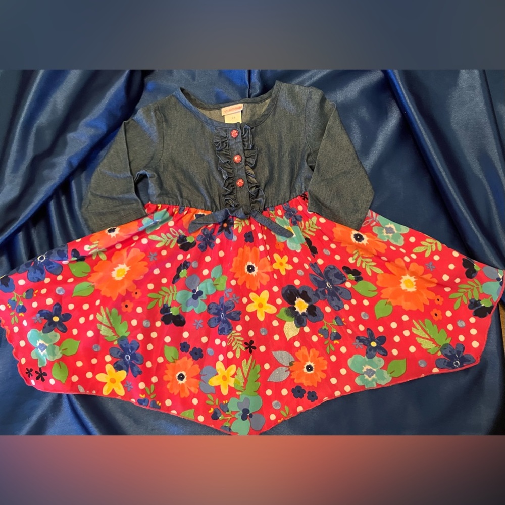 LIKE NEW! Adorable Girls Denim & Floral Dress
